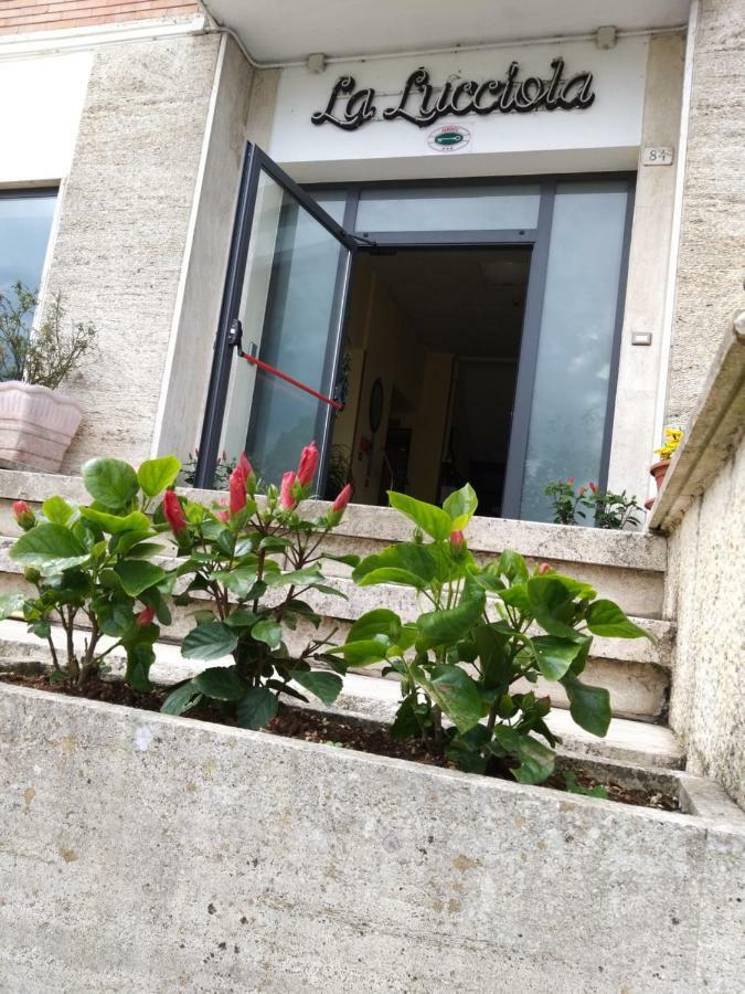 Hotel La Lucciola Chianciano Terme Exterior foto